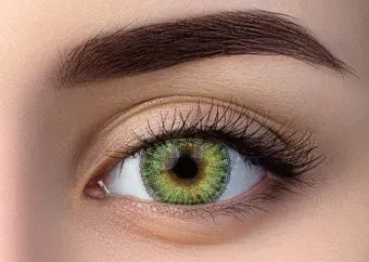 WDL Color Monthly BC forest -2.50 дптр 8.6 мм (1 шт)