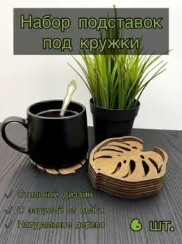 Lazer_bobr Монстера 6 шт