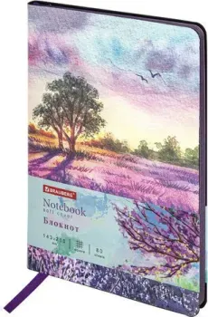 BRAUBERG Vista Violet 112074