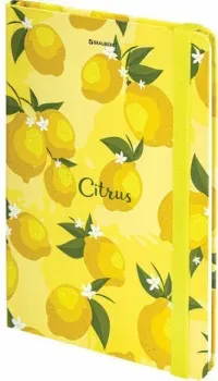 BRAUBERG Lemons 113727