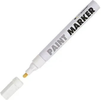 inФормат Paint Professional KRR04W (белый)