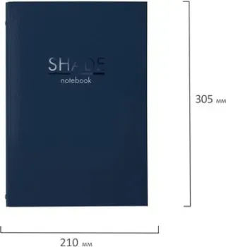 BRAUBERG Shade 404102 (100л)