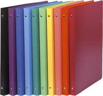 Exacompta На 2 кольца 54199E (ассорти)