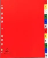 Exacompta Maxi 2512E (ассорти)