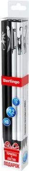 Berlingo Riddle BP01165_12 (12 шт)