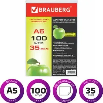 BRAUBERG 223085 (100 шт)