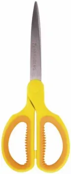 BRAUBERG Extra 236450