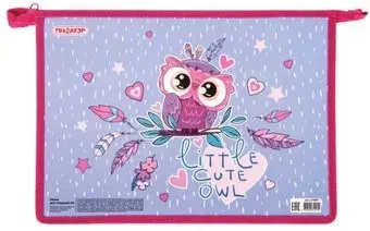 Пифагор Owlet 270097
