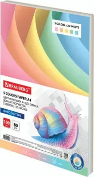 BRAUBERG 112460