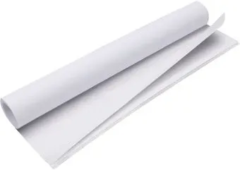 BRAUBERG Art 114488 (5 л)