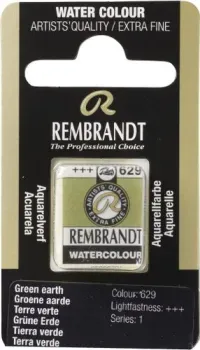 Rembrandt 629 05866291 (зеленая земля, кювета)