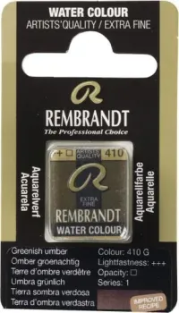 Rembrandt 410 05864101 (умбра зеленая, кювета)