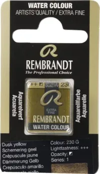Rembrandt 230 05862301 (гранулированный желтый, кювета)