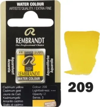 Rembrandt 209 05862091 (кадмий желтый, кювета)