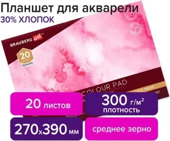 BRAUBERG Art 113252 (20 л)