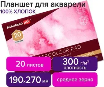 BRAUBERG Art 113240 (20 л)