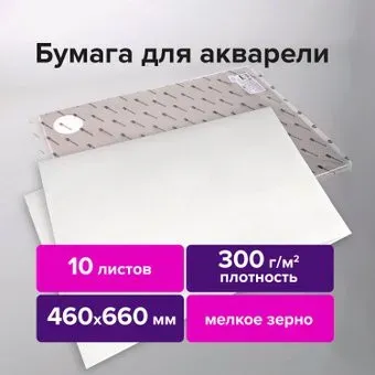 BRAUBERG Art Premiere 113232 (10 л)