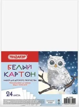 Пифагор Совушка 113565 (24 л)