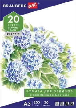 BRAUBERG Art Classic 129224 (20 л)