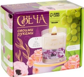 Школа талантов Виноград 10100651