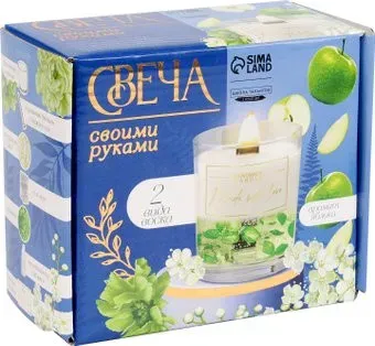 Школа талантов Зеленое яблоко 10100649
