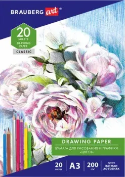BRAUBERG Art Classic 114491 (20 л)