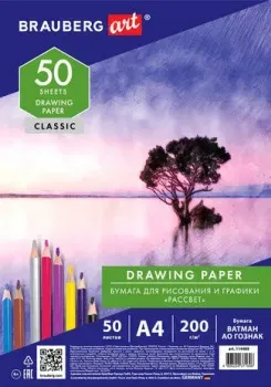 BRAUBERG Art Classic 114489 (50 л)