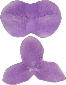 Blumentag FIO-M/06 01 Орхидея-Phalaenopsis