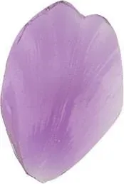 Blumentag FIO-M/01 05 Лепесток широкий