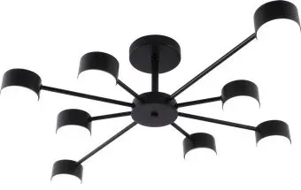 Rivoli Lesley 3185-308 Б0070178