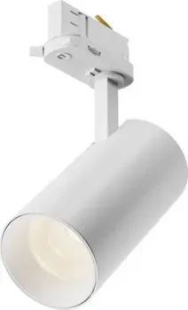 Maytoni Technical TR197-3-20WCCT-M-W