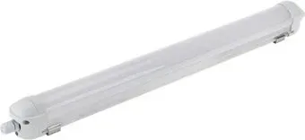Rexant ССП2 IP65 18Вт 185-265В 6500K холодный свет 0,6м 607-009