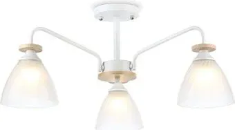 Ambrella light Traditional TR9562