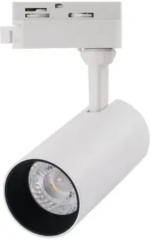 Arte Lamp Regulus A4568PL-1WH
