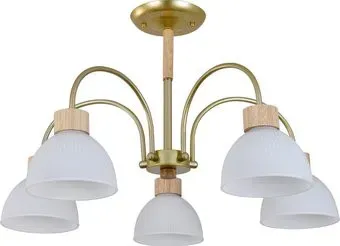Escada 150005/5R ES0000061 (Gold/Wood)