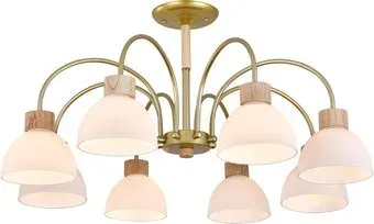 Escada 150005/8R ES0000062 (Gold/Wood)