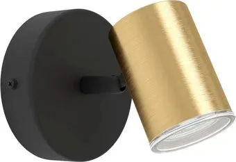 Eglo Consuma 1 300583