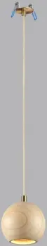 Odeon Light Caucho 7061/1