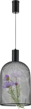 Moderli Ophelia V11875-PL