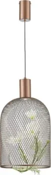 Moderli Ophelia V11870-PL