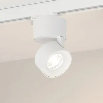 Arlight SP-PLURIO-TRACK-4TR-R77-9W Day4000 WH-WH 36 deg 038098