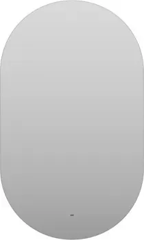 Misty Зеркало Титавин 600x1000 ТИТ-02-60/100-14