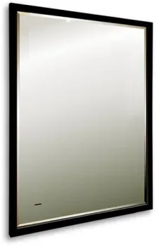 Silver Mirrors Зеркало Эдисон 60x80 LED-00002723