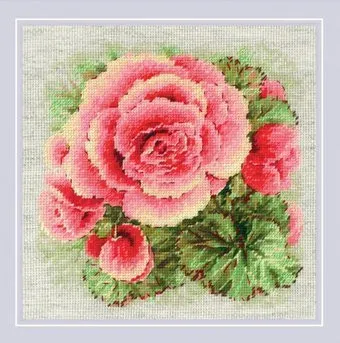 Риолис Бегония 2122
