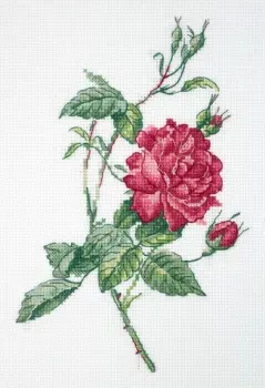 Klart Ботаника. Роза 8-531