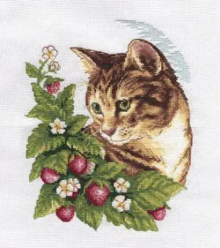 Klart Кошка в клубнике 8-174