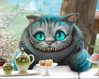 Молли Чеширский кот 40x50 FHR0581