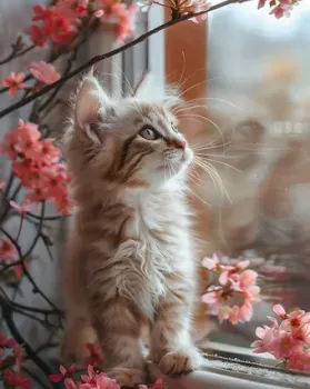 Феникс+ Котик у окошка 68641