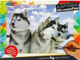 MultiArt Лайки CANV30X40-MULTI47