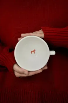 Ceramicmay 300 мл с лошадкой